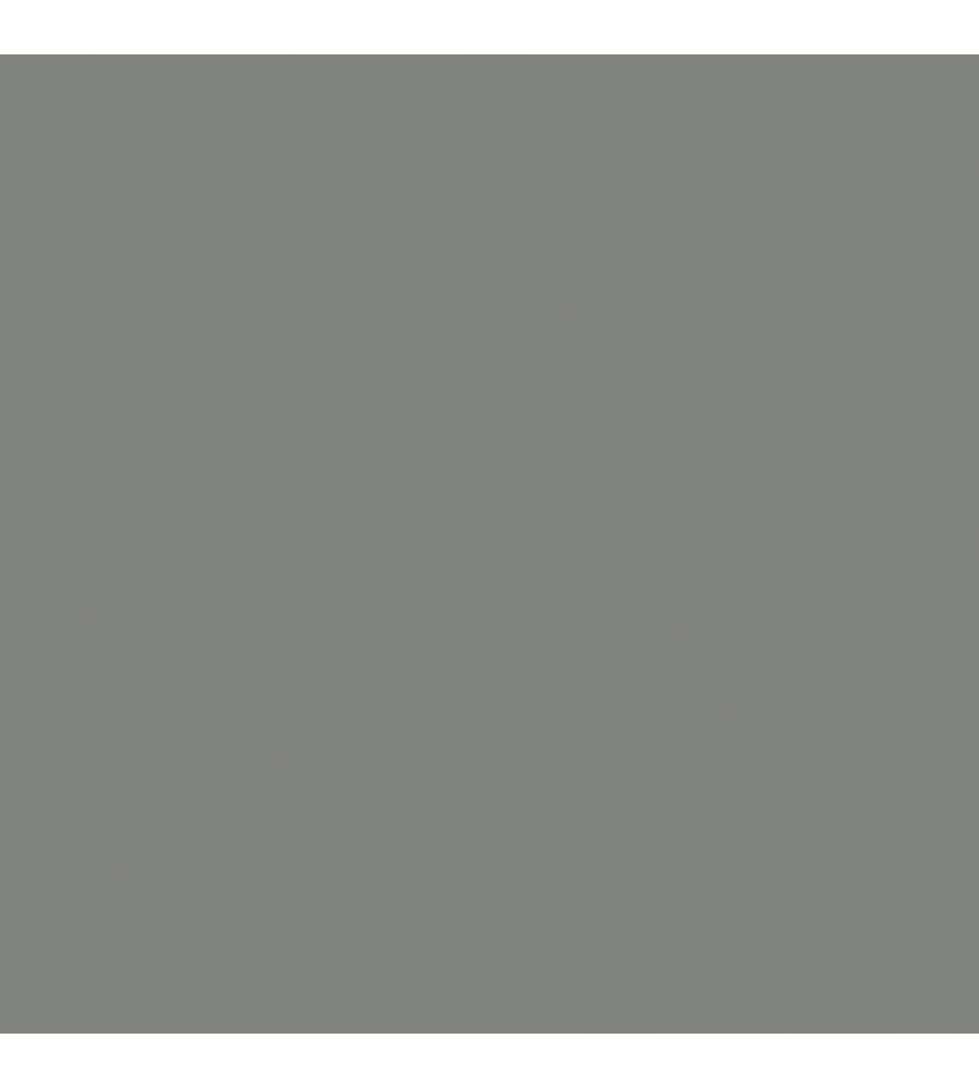 VERNICE METALLICA LAVABILE  "PURE PLATINE" COLORE ACCIAIO - 2 LT